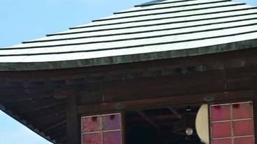 施設からの眺望 / 19