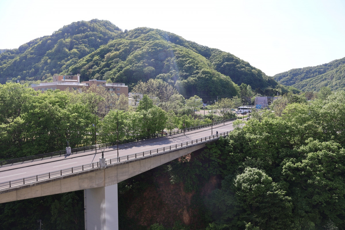 客室内からの眺め