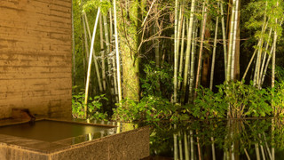 ジュニア スイート (Shizuku)