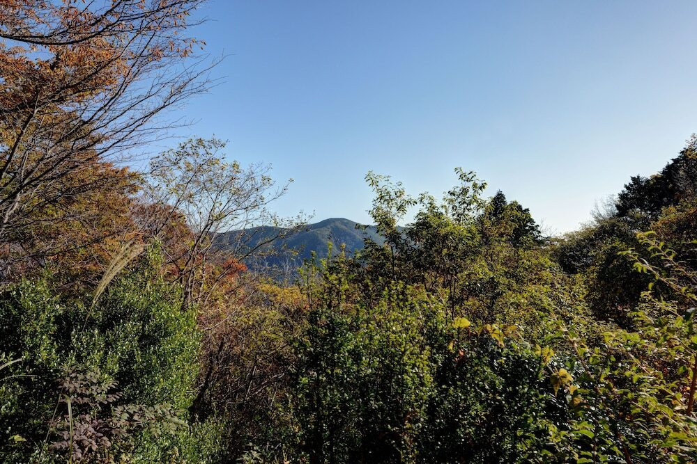 施設からの眺望