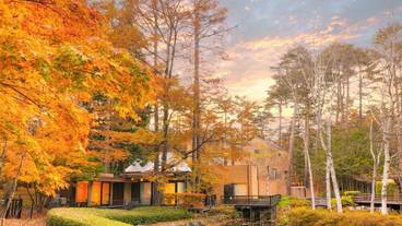 メイン イメージ / 1