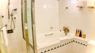 [禁煙] ジュニア スイート