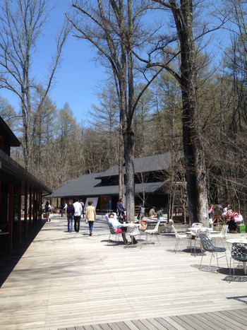 「丸山珈琲  ハルニレテラス店」外観 817651 店舗前風景  ２０１５年４月２６日訪問