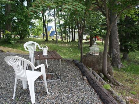 フィトンチッド森の香り / 5