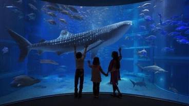 観光スポット / 5