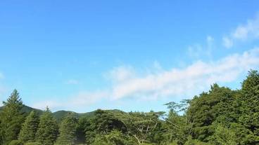 施設の敷地 / 14