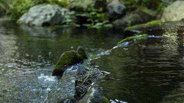 施設内の設備 / 7