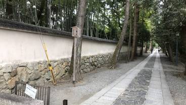 シティ ビュー / 10