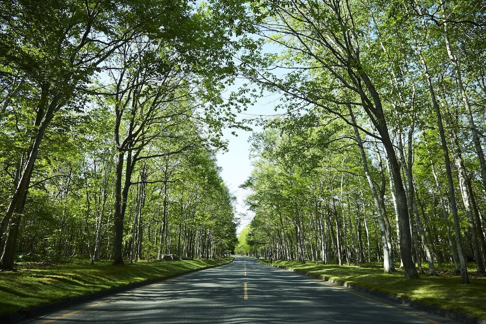 施設からの眺望