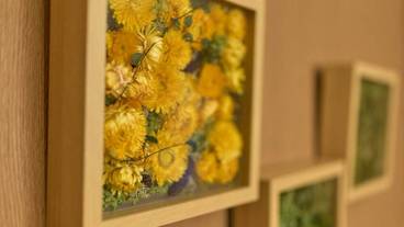 リビング エリア / 35