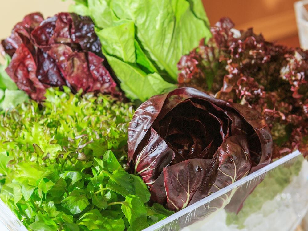 朝食ビュッフェ