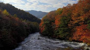 ランド ビュー / 15