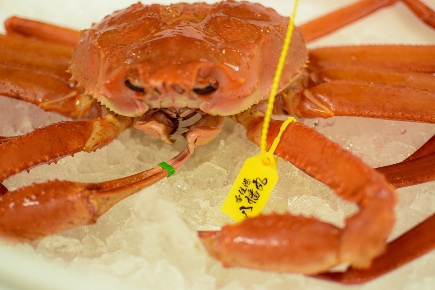 京都の北西端、自然に囲まれたおこもり宿でカニ尽くし3361659