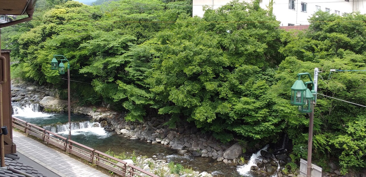 部家からの眺望。新緑が美しい