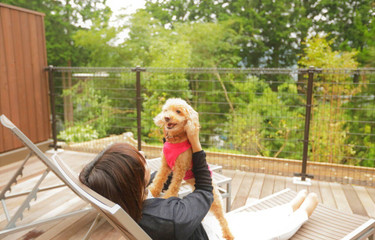 11 Pet-Friendly Onsen Ryokan & Hotels in Hakone! Take Your Furry Friend With You