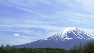 施設からの眺望 / 16
