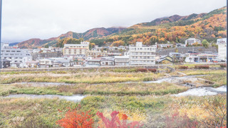 コンフォート ルーム