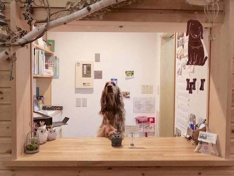 ペンション グスベリー / 2