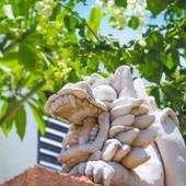 パームヴィラ石垣島 fusu（沖縄県 別荘・ヴィラ・コンドミニアム） / 5