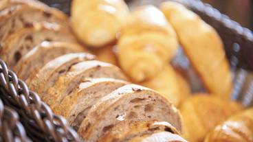 朝食ビュッフェ / 16