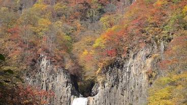 観光スポット / 8