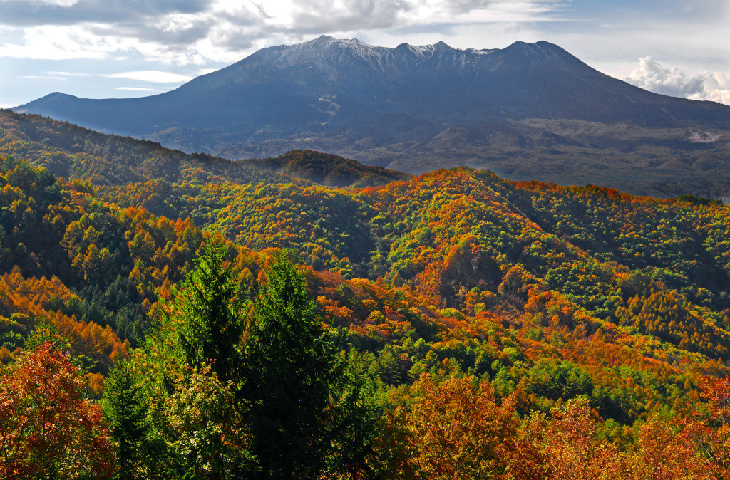 パワスポに絶景も！「御岳山」の魅力に触れる旅3918155