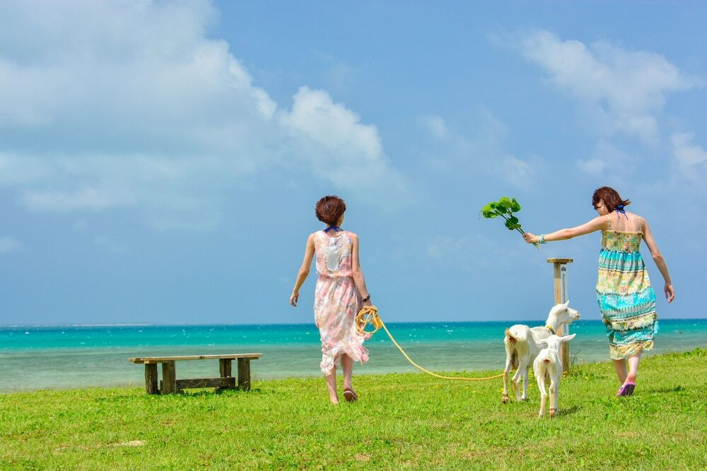 プールに星空ツアー♪子どもを飽きさせないアクティビティが充実3411254