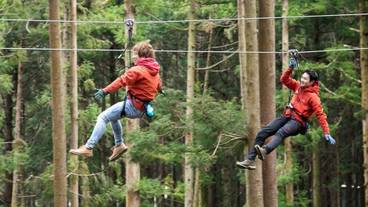 エコツアー / 17