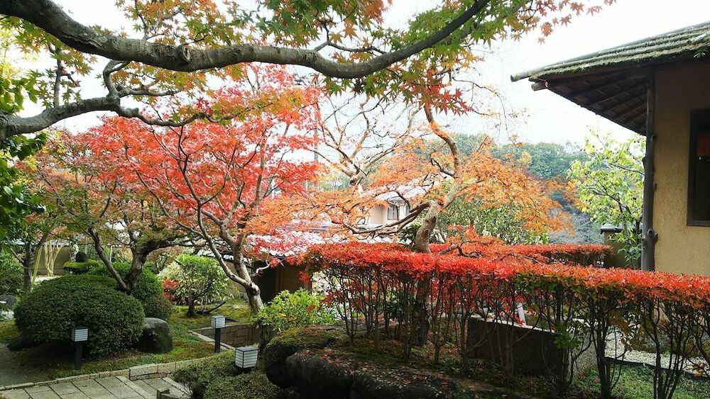 施設からの眺望
