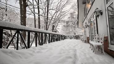 テラス / パティオ / 13