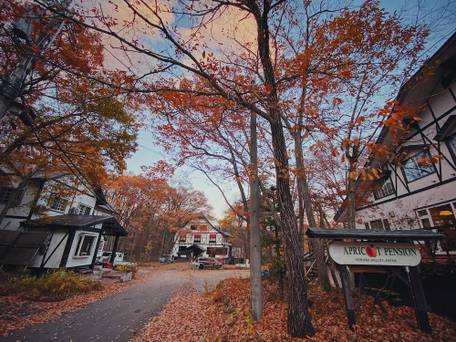 アプリコットペンション / 4