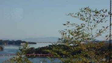 施設からの眺望 / 28