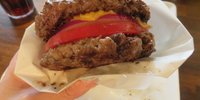肉テロ！「シェイクツリー」の肉バーガーがワイルドすぎ！