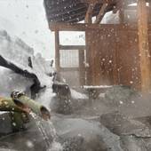 清津峡湯元温泉 清津館（新潟県 旅館） / 4