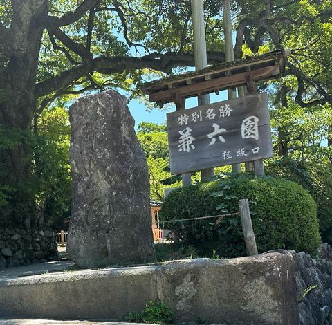 ikeyankoさんの写真 / 1