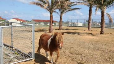 施設の敷地 / 24