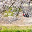 下呂温泉と桜の名所で春を感じる旅へ♡カップルにおすすめの旅館6選