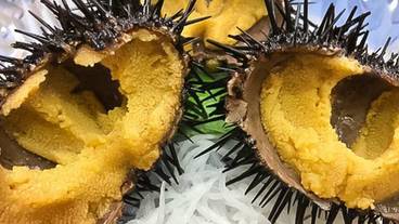 食事・飲み物 / 17