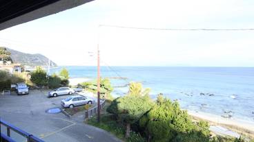 ビーチ / オーシャン ビュー / 9