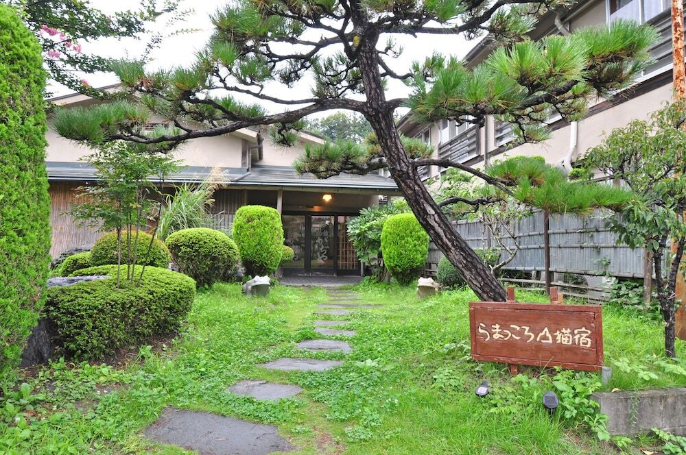 メイン イメージ