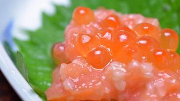 食事・飲み物 / 8