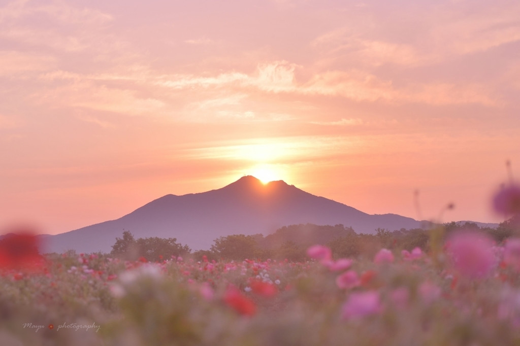 女性だけでも安心安全！「つくば・牛久」観光を満喫しよう！4087767