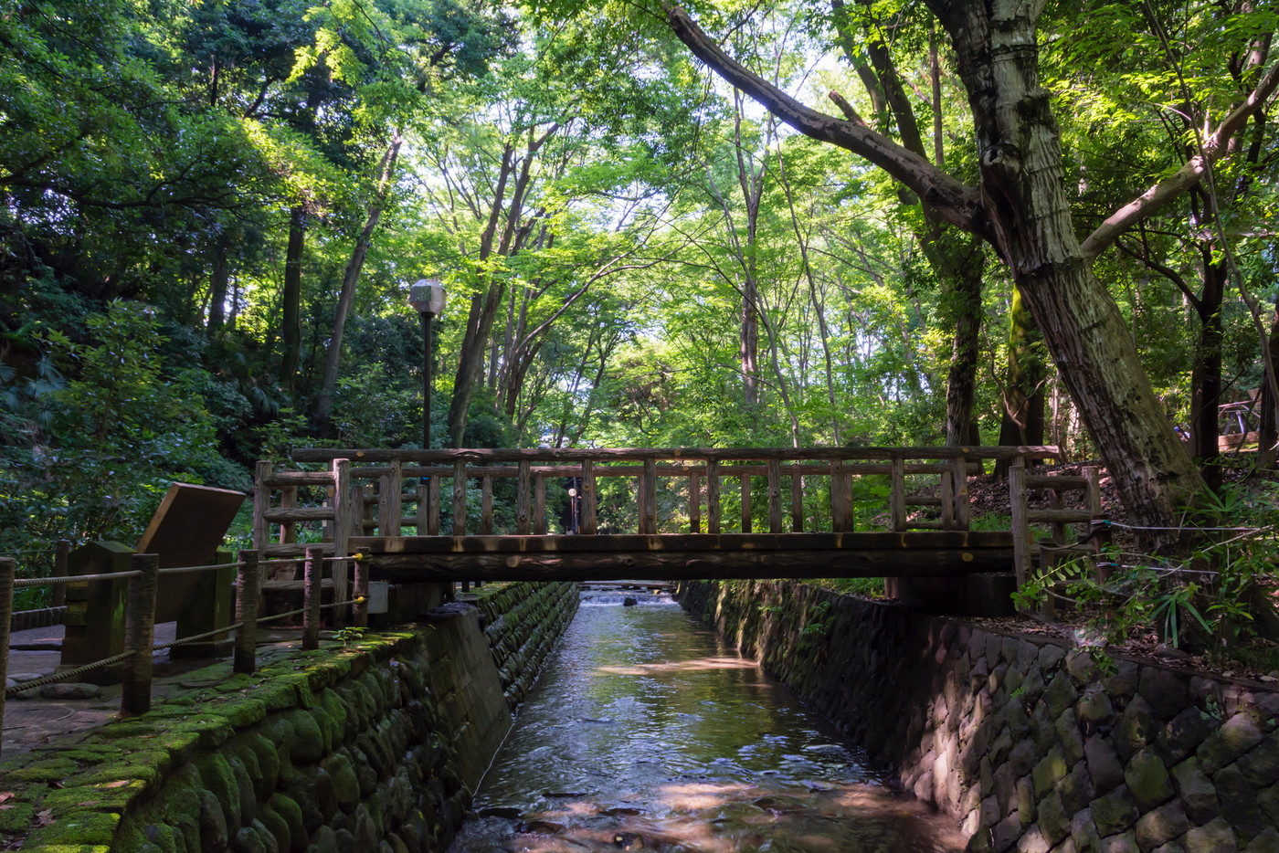 等々力渓谷　谷沢川