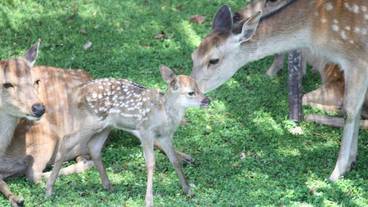 観光スポット / 3