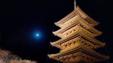 観光スポット / 7