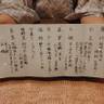 _mmtdmさんの写真