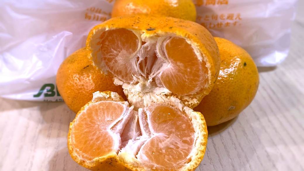 湯河原名物のみかんを
堪能できる問屋へ♪ / 3