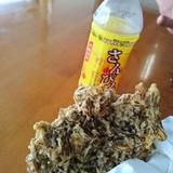 中本鮮魚店（ナカモトセンギョテン）