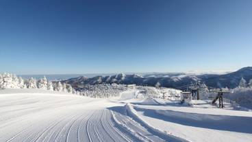 スノー スポーツとスキー / 3