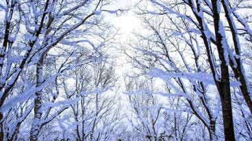 施設からの眺望 / 14